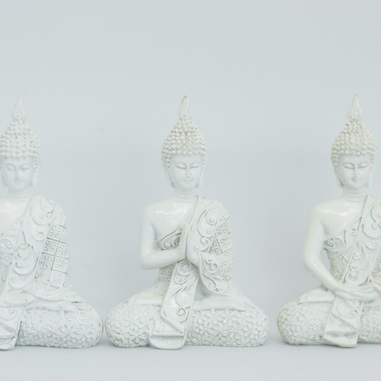 Meditation practice space with cushions arranged in circle